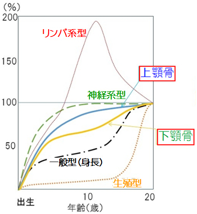 あごの発達 倉松歯科医院 大阪市旭区