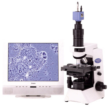 オリンパス CH40 位相差顕微鏡、デジカメ、モニタ 歯科,歯周病,アスベスト